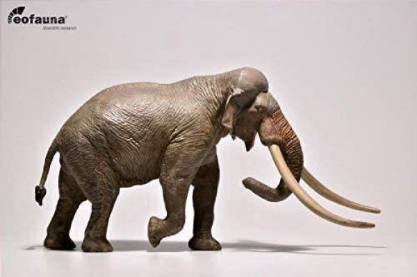 Eofauna 1 35 サイズ Palaeoloxodon属 象 ゾウ マンモス 絶滅 動物 リアル フィギュア Pvc 24cm級 フィギュア専門店 ソダチトイズ