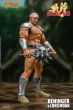 画像3: Storm Toys  Golden Axe  HENINGER & LONG MOAN   アクションフィギュア SGGX09 (3)