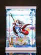 画像1: 仙剣奇侠伝 趙霊児 25th Anniversary Ver.  専用 展示ケース (1)