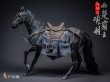 画像3: 予約 十二点Toys   西楚覇王 項羽   Xiang Yu, the Overlord of Western Chu  1/6  アクションフィギュア  T-013B  DELUXE Ver (3)