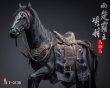 画像4: 予約 十二点Toys   西楚覇王 項羽   Xiang Yu, the Overlord of Western Chu  1/6  アクションフィギュア  T-013B  DELUXE Ver (4)