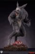 画像1: 予約 Sideshow x PCS  THE HOWLING   Werewolf  1/3   スタチュー  913424 (1)