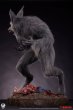 画像12: 予約 Sideshow x PCS  THE HOWLING   Werewolf  1/3   スタチュー  913424 (12)