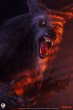 画像9: 予約 Sideshow x PCS  THE HOWLING   Werewolf  1/3   スタチュー  913424 (9)