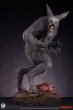 画像10: 予約 Sideshow x PCS  THE HOWLING   Werewolf  1/3   スタチュー  913424 (10)