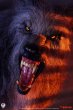 画像6: 予約 Sideshow x PCS  THE HOWLING   Werewolf  1/3   スタチュー  913424 (6)
