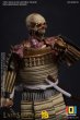画像10: 予約 101TOYS NEW BEGINNER SERIES OF The Ghost of the Last Samurai 1/6   アクションフィギュア  KN018 (10)