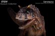画像3: ITOY   carnotaurus  1/15  スタチュー (3)