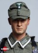 画像9: 予約 UJINDOU  WWII Feldherrnhalle Panzergrenadier NCO, Hungary 1944-1945  1/6  アクションフィギュア  UD9036 (9)