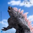 画像4: 予約 HIYA  ゴジラxコング 新たなる帝国  Godzilla  ゴジラEvolution Ver. 18cm フィギュア   SSG0420 (4)