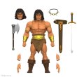 画像6: 予約 Super7   Conan The Barbarian & Kull The Conqueror  アクションフィギュア SUP85796/SUP84982 (6)