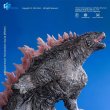 画像10: 予約 HIYA  ゴジラxコング 新たなる帝国  Godzilla  ゴジラEvolution Ver. 18cm フィギュア   SSG0420 (10)