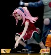 画像12: 予約 Cartoon Kingdom  NARUTO -ナルト-  はたけ カカシ  うずまき ナルト  うちは サスケ  春野サクラ  1/6   スタチュー   (12)