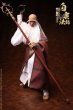 画像4: 予約 MYTOYS & 汇玩文创Studio  Daodaodao Baiyun Master  1/6  アクションフィギュア  ST-002 (4)