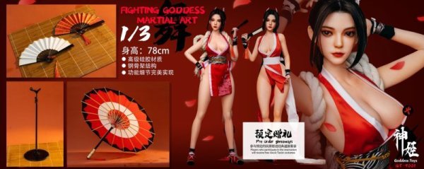 画像1: 予約 神姬Goddess Toys  Girl Martial Arts Fighter  1/3  アクションフィギュア GT-9001  (1)