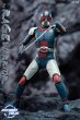 画像6: 予約 Soosootoys  Angry Prince BioKnight  1/6 アクションフィギュア  SST-059 (6)