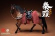 画像13: 予約 303TOYS THE PROSPEROUS TANG DYNASTY - GENERAL OF MILITANT GUARD - QIN QIONG 秦琼 (BATTLE FIELD DELUXE EDITION) 1/12  アクションフィギュア DT002B (13)