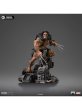 画像3: 予約 Iron Studios  Weapon X (Wolverine 50th Anniversary)  1/10  スタチュー  MARCAS103124-10 (3)