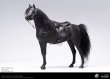 画像3: 予約 POPTOYS Horse  1/6   EX057 (3)