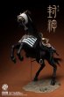 画像1: 予約 303TOYS  WARHORSE OF YIN SHOU   1/6  アクションフィギュア CT004 (1)