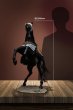 画像5: 予約 303TOYS  WARHORSE OF YIN SHOU   1/6  アクションフィギュア CT004 (5)