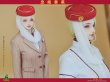 画像6: 予約 CUKE TOYS  The Flight Attendant Set  1/6  素体なし 頭彫りなし  MA-032 (6)