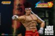 画像8: 予約 Storm Toys  KOF98  JOE HIGASHI   ジョー・ヒガシ   アクションフィギュア  SKKF15  (8)