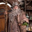 画像10: 予約 Weta Workshop The Lord of the Rings RADAGAST Limited edition  1/6 スタチュー 87-01-04432 (10)