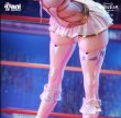 画像5: 予約 AniMester  绵绵喵レスラー  Casey  1/6  フィギュア (5)