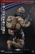 画像6: 予約 SOLDIER STORY  PLA Navy Marine Corps Collectible Action Figure (standard ver.)  1/6  アクションフィギュア SS138 (6)