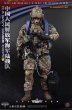 画像2: 予約 SOLDIER STORY  PLA Navy Marine Corps Collectible Action Figure (standard ver.)  1/6  アクションフィギュア SS138 (2)