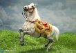 画像2: 予約 DID Napoleon White War Horse (Prancing) 1/6  フィギュア   E60078  (2)