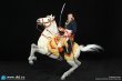 画像6: 予約 DID Emperor Of French – Napoleon Bonaparte  1/6  アクションフィギュア   N80179 (6)