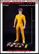 画像2: 予約 Fire Point Toys  The King of Kung Fu  1/6   アクションフィギュア   FPT004  (2)